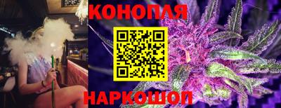 Альфа ПВП Моздок