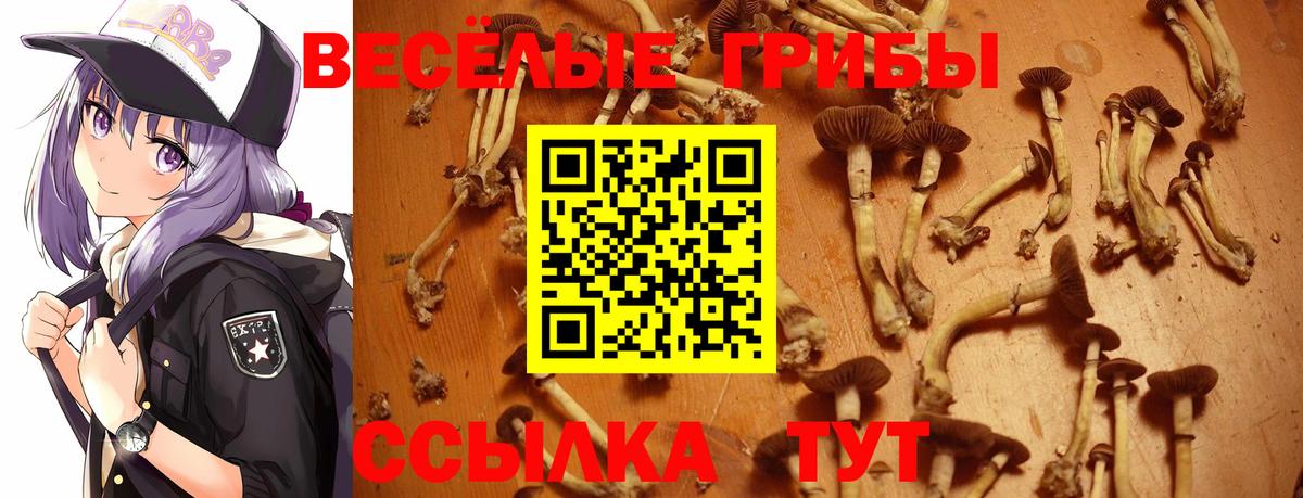 Марихуана Сургут